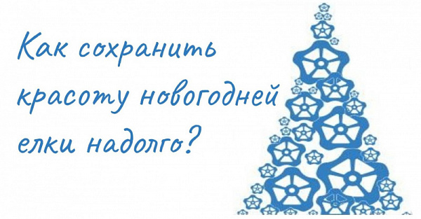 КВС раскрывает секрет, как сделать так, чтобы новогодняя елка не осыпалась сразу